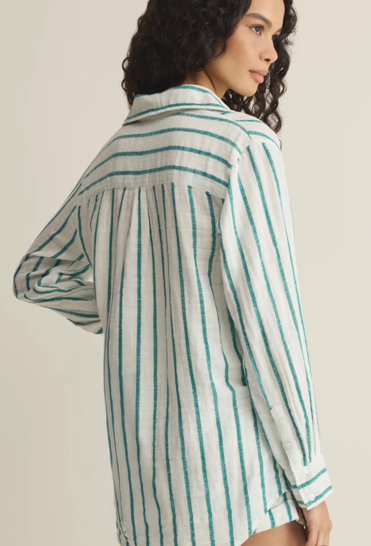 ZSupply Saturdays Stripe Shirt