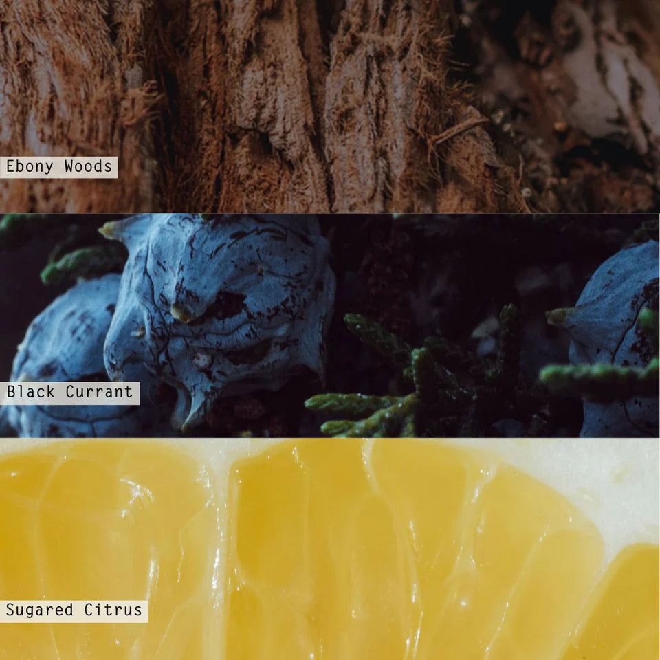 Illume Large Radiant Glass Candle