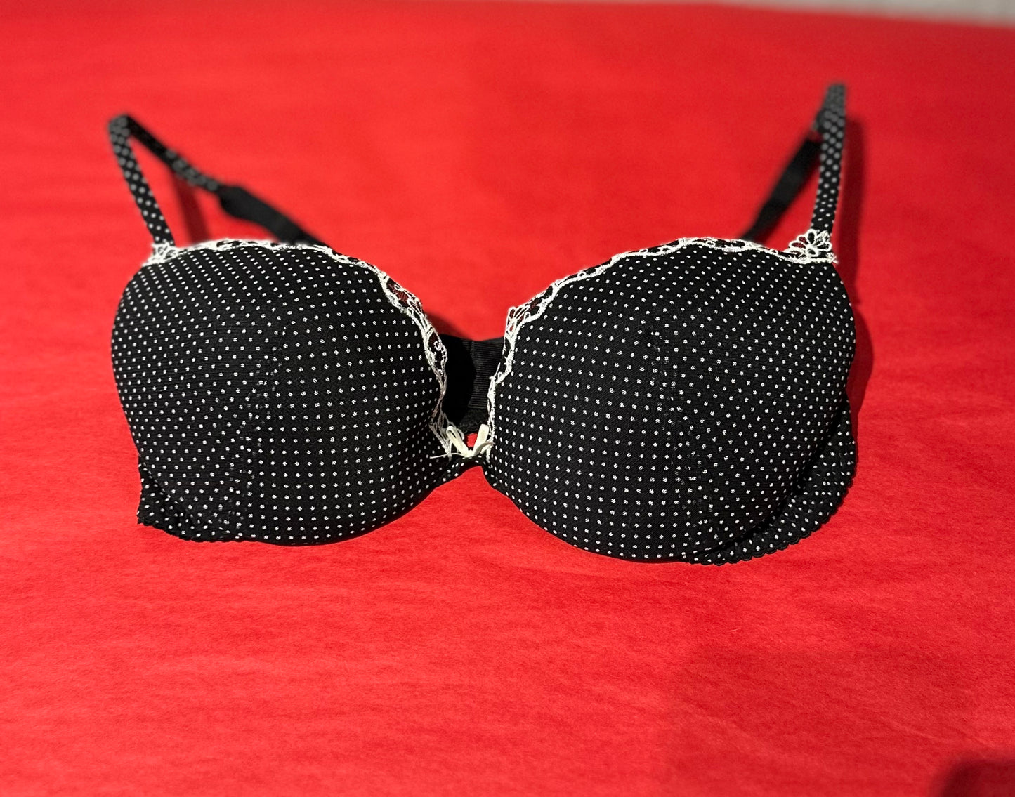 Cosabella Dorothy Push Up Bra