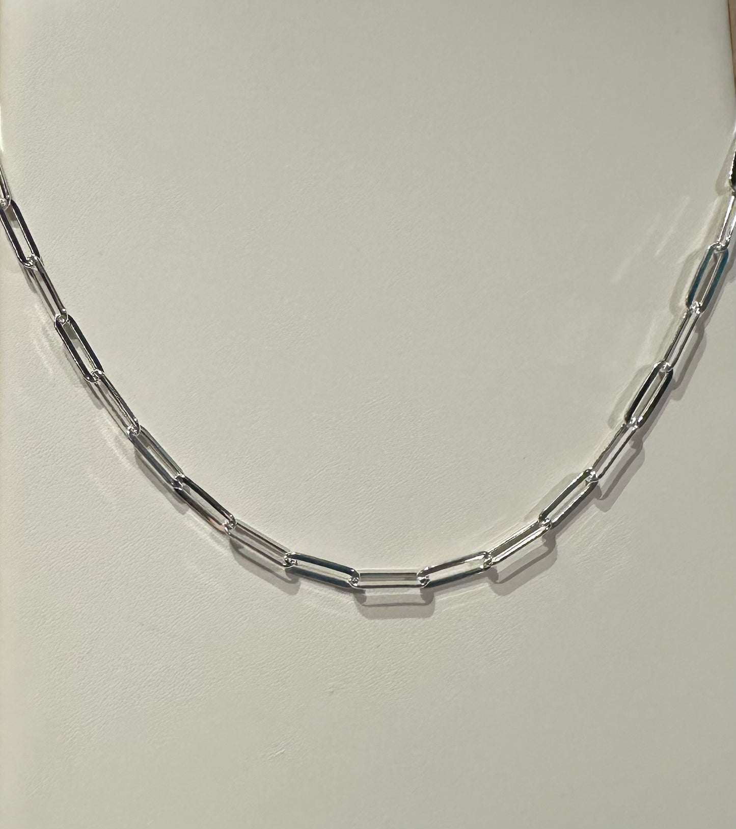 Silver And Accessories SS Long Chain