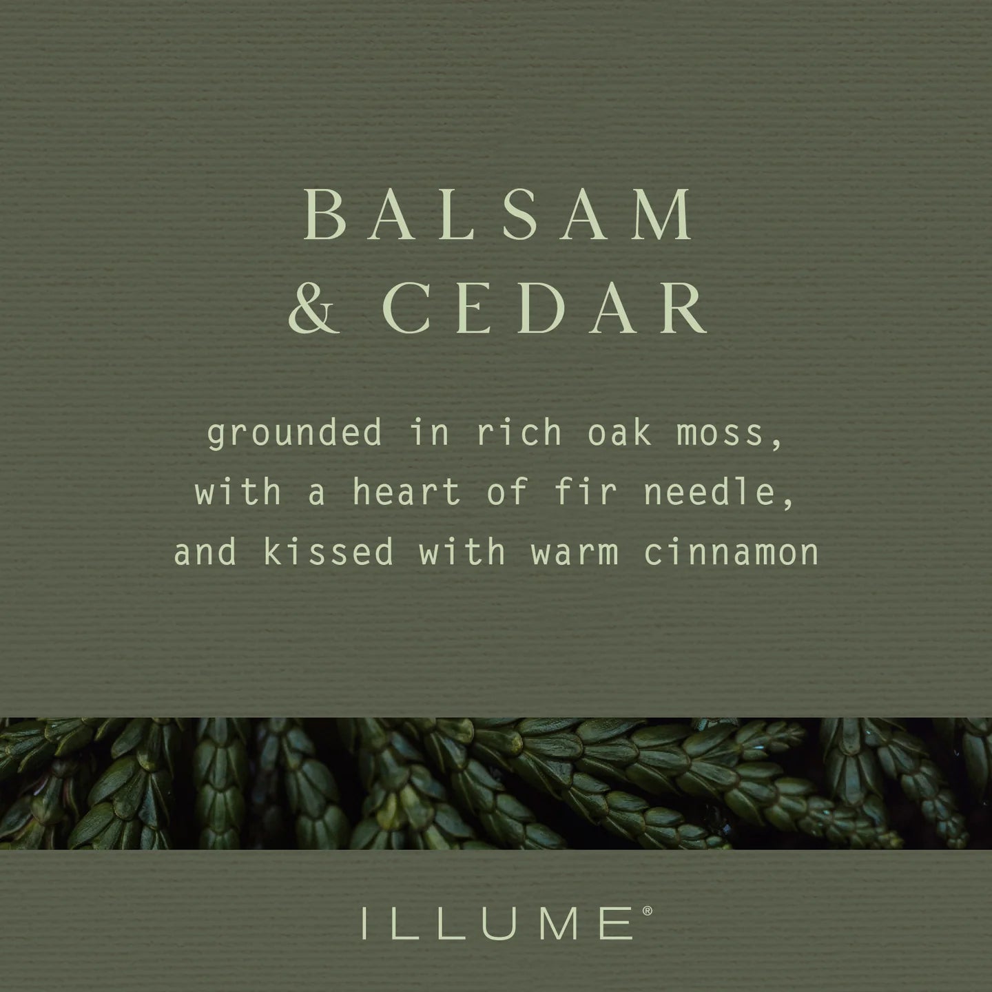 Illume Winsome Diffuser