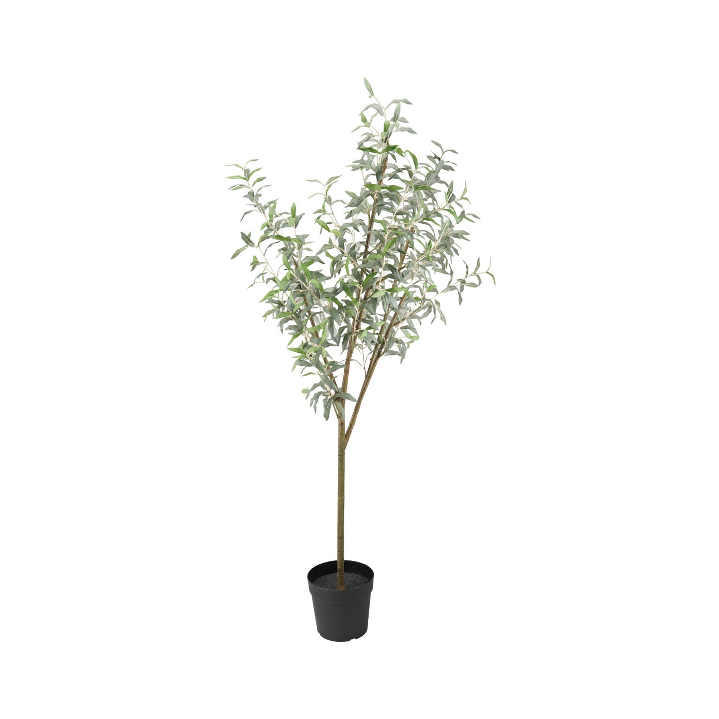 Creative Coop Faux Olive Tree