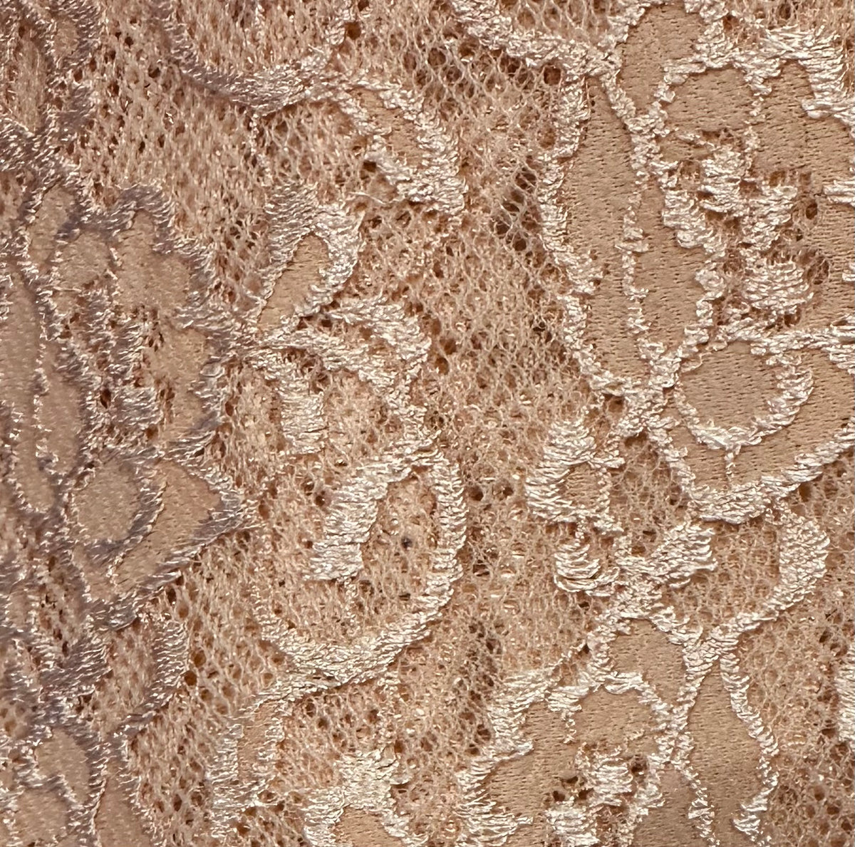 Ally Rose Lace Bandeau