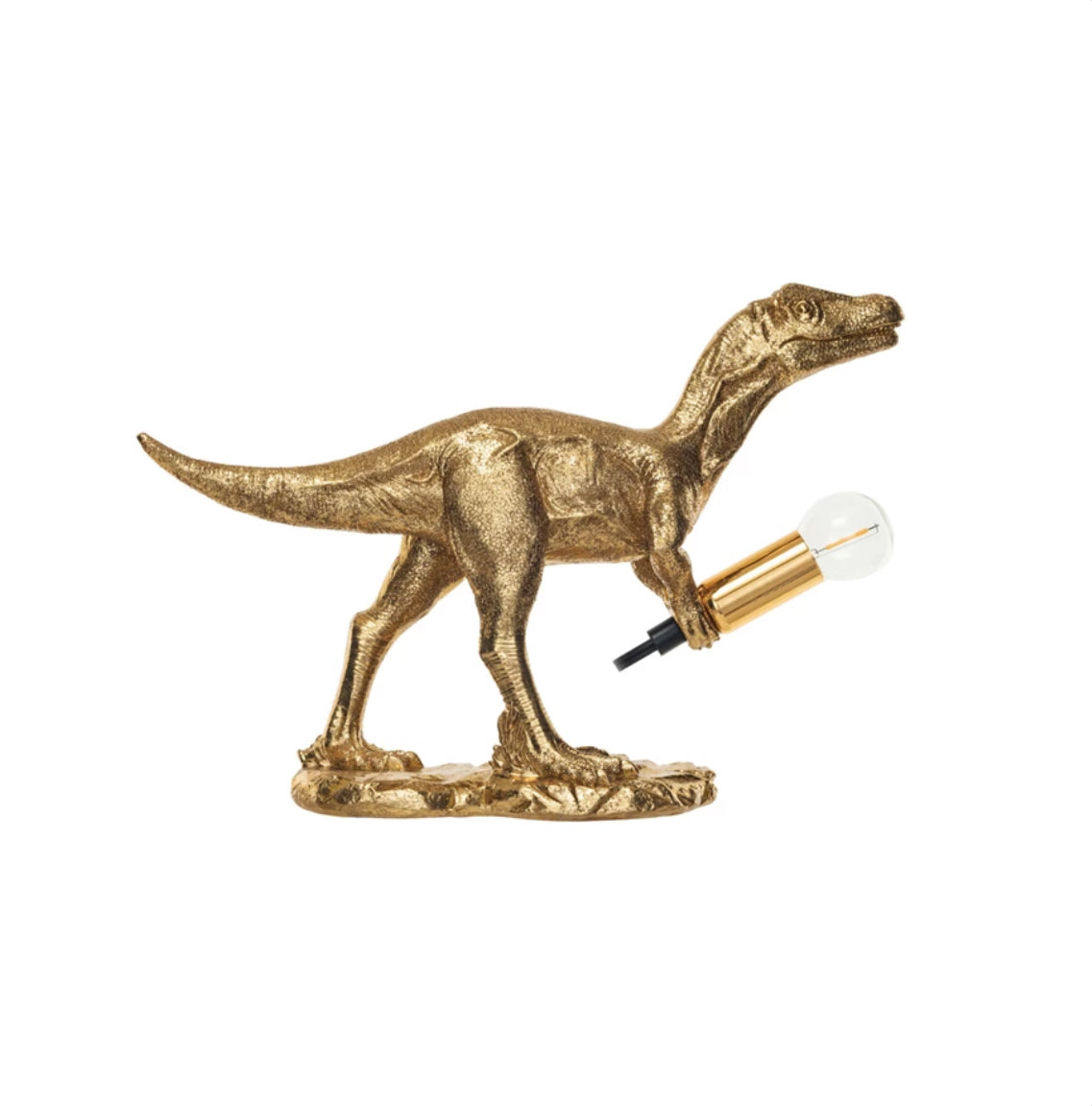 Creative Co-op Dinosaur Light