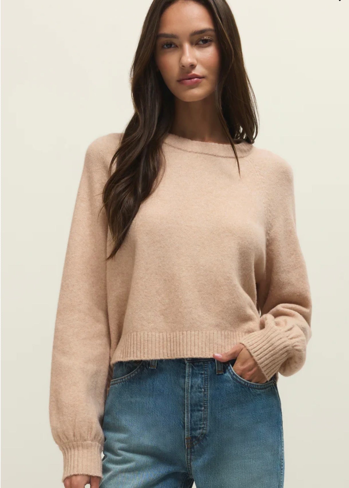Zsupply Coming Up Sweater