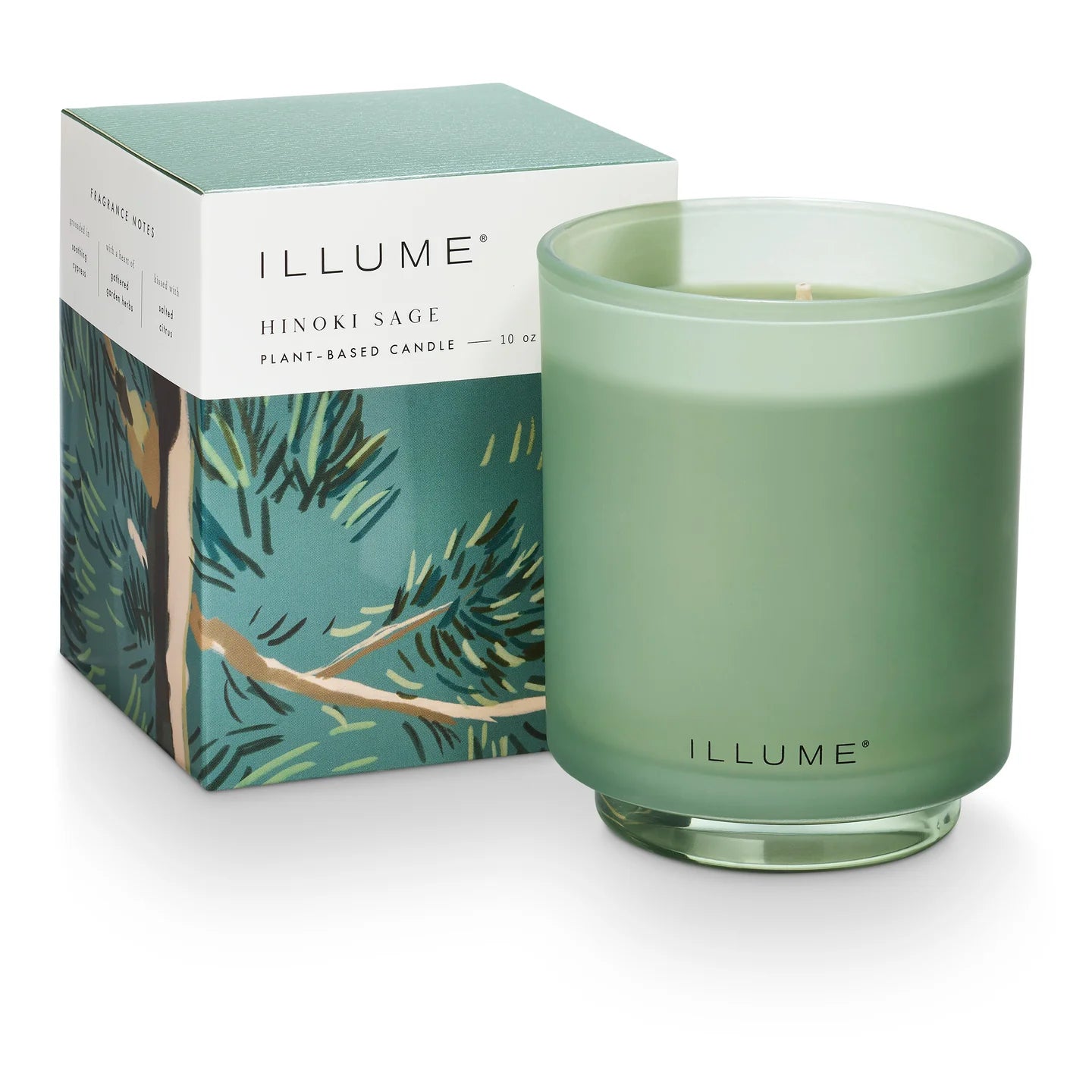 Illume Boxed Glass Candle
