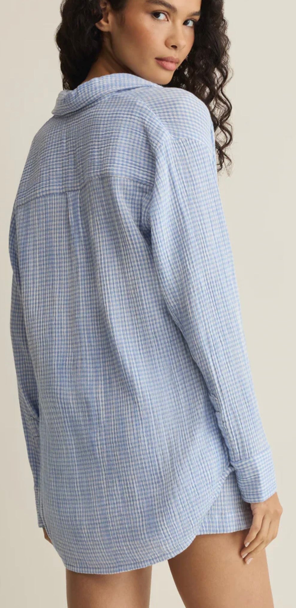 Zsupply Classic Gingham Top