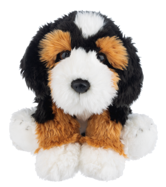 Ganz Heritage Bernedoodle