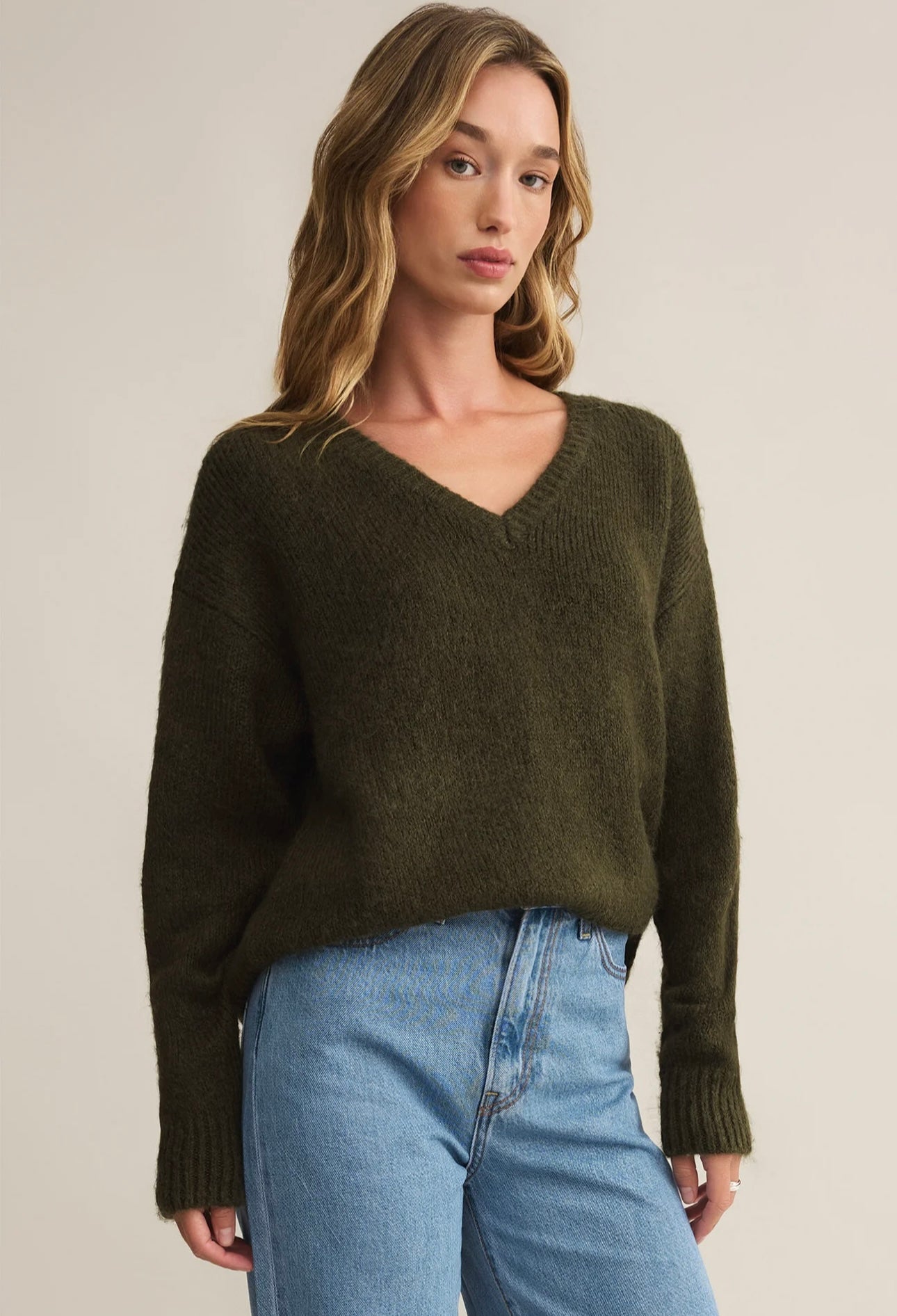 Z supply All I Want V-neck Sweater