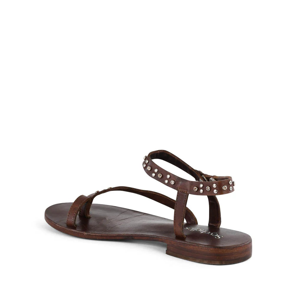 Seychelles First Look Sandal Brown