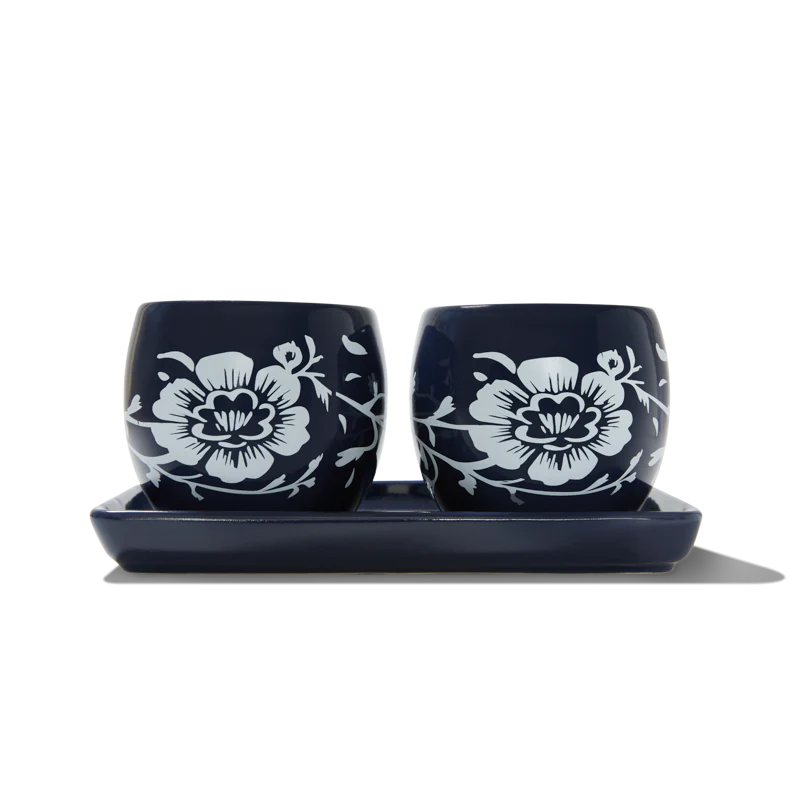Summer & Rose Ceramic Planters Set of 2