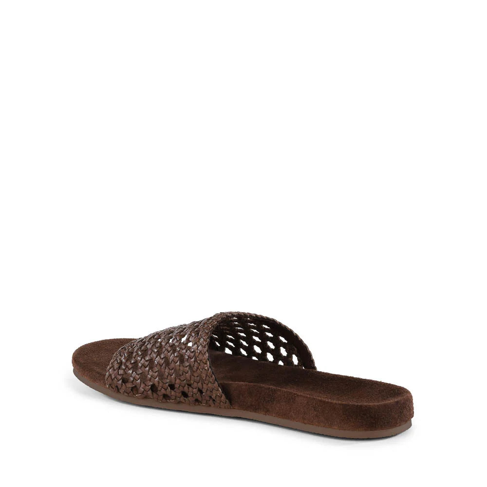 Seychelles Somerset Sandal Brown