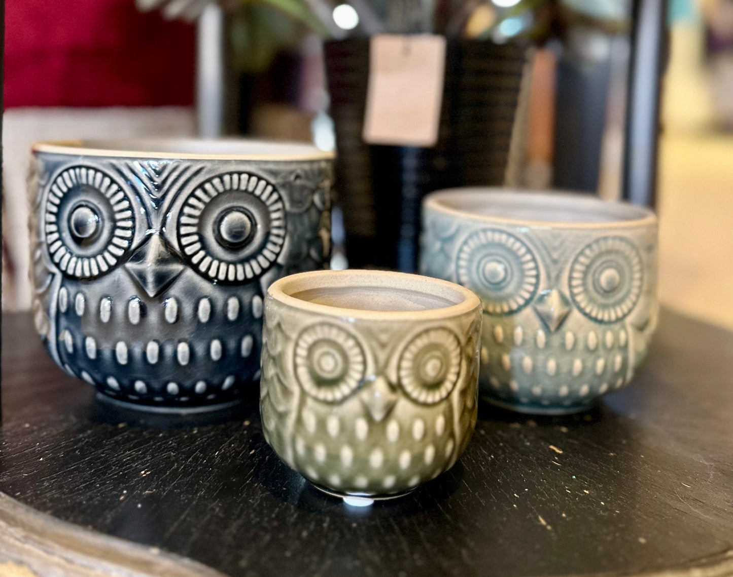 Creative Coop Owl Round Bowls