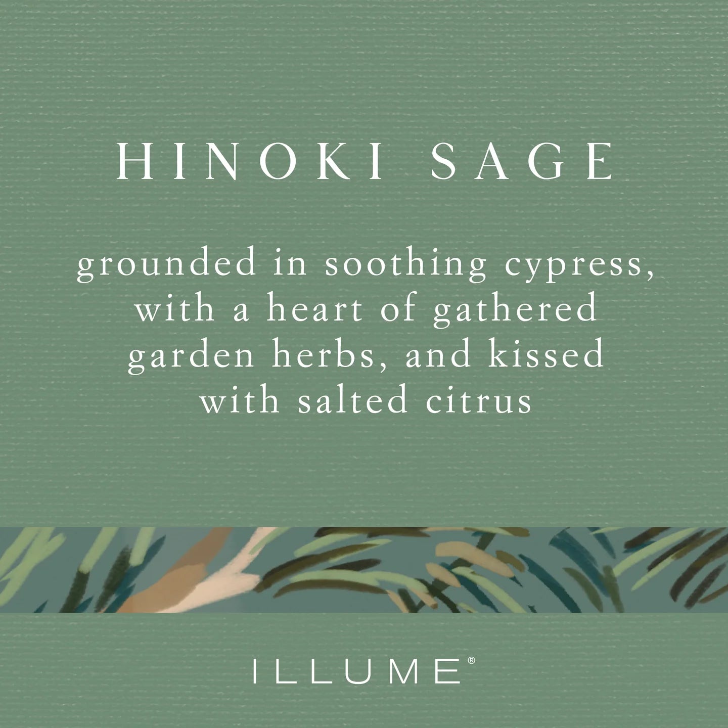 Illume Boxed Glass Candle