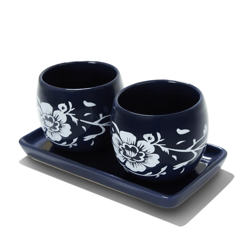 Summer & Rose Ceramic Planters Set of 2