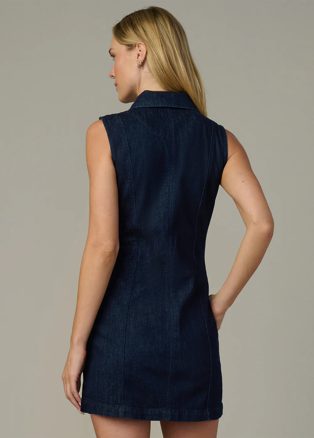 Joes Irina Dress