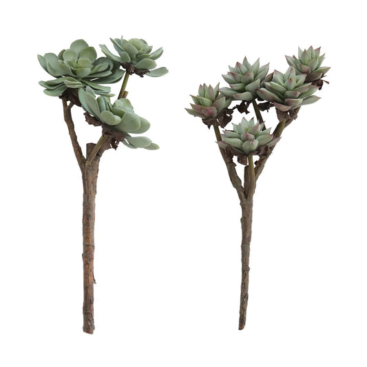 Creative Coop Faux Succulent