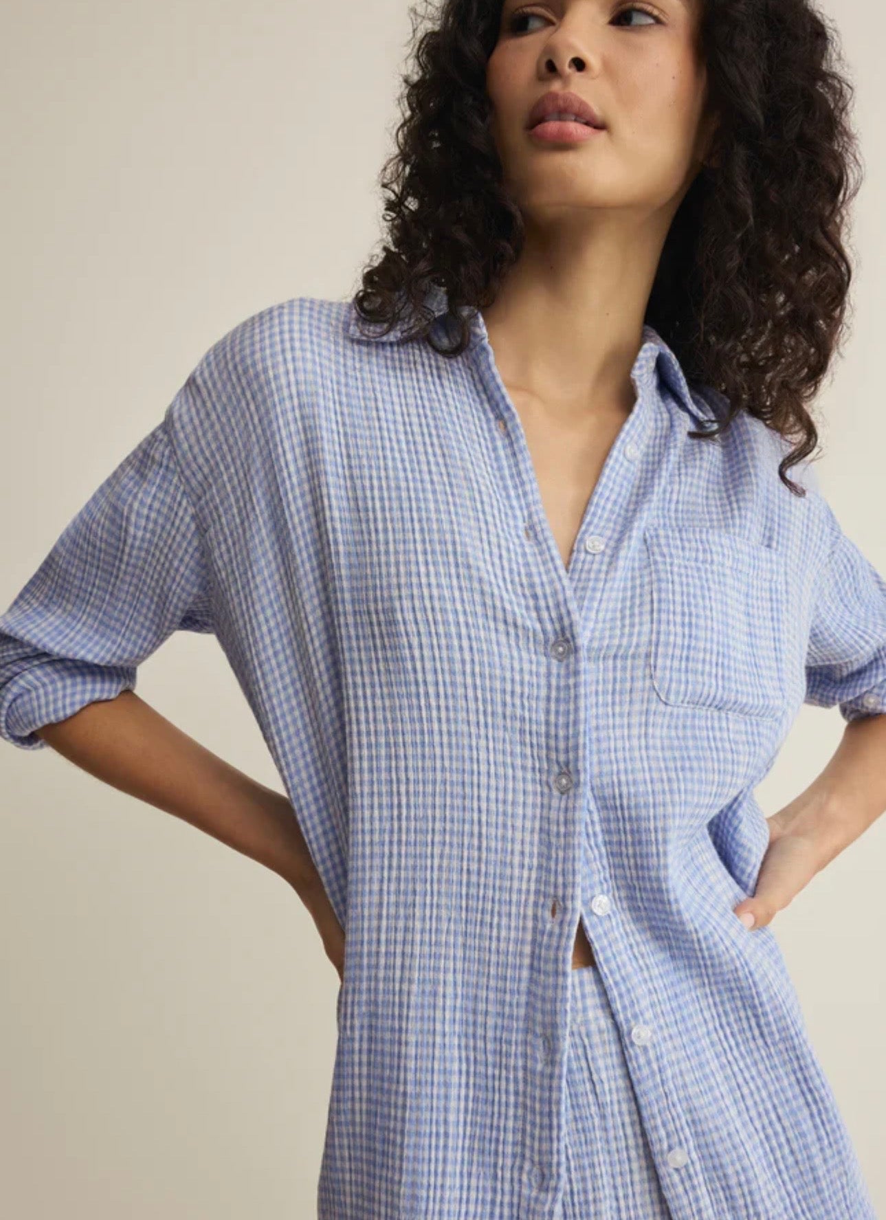 Zsupply Classic Gingham Top