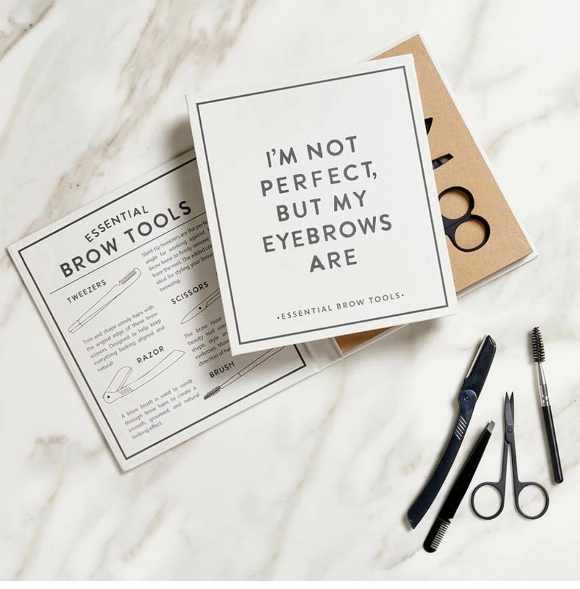 Santa Barbara Design Studios Eyebrow Kit