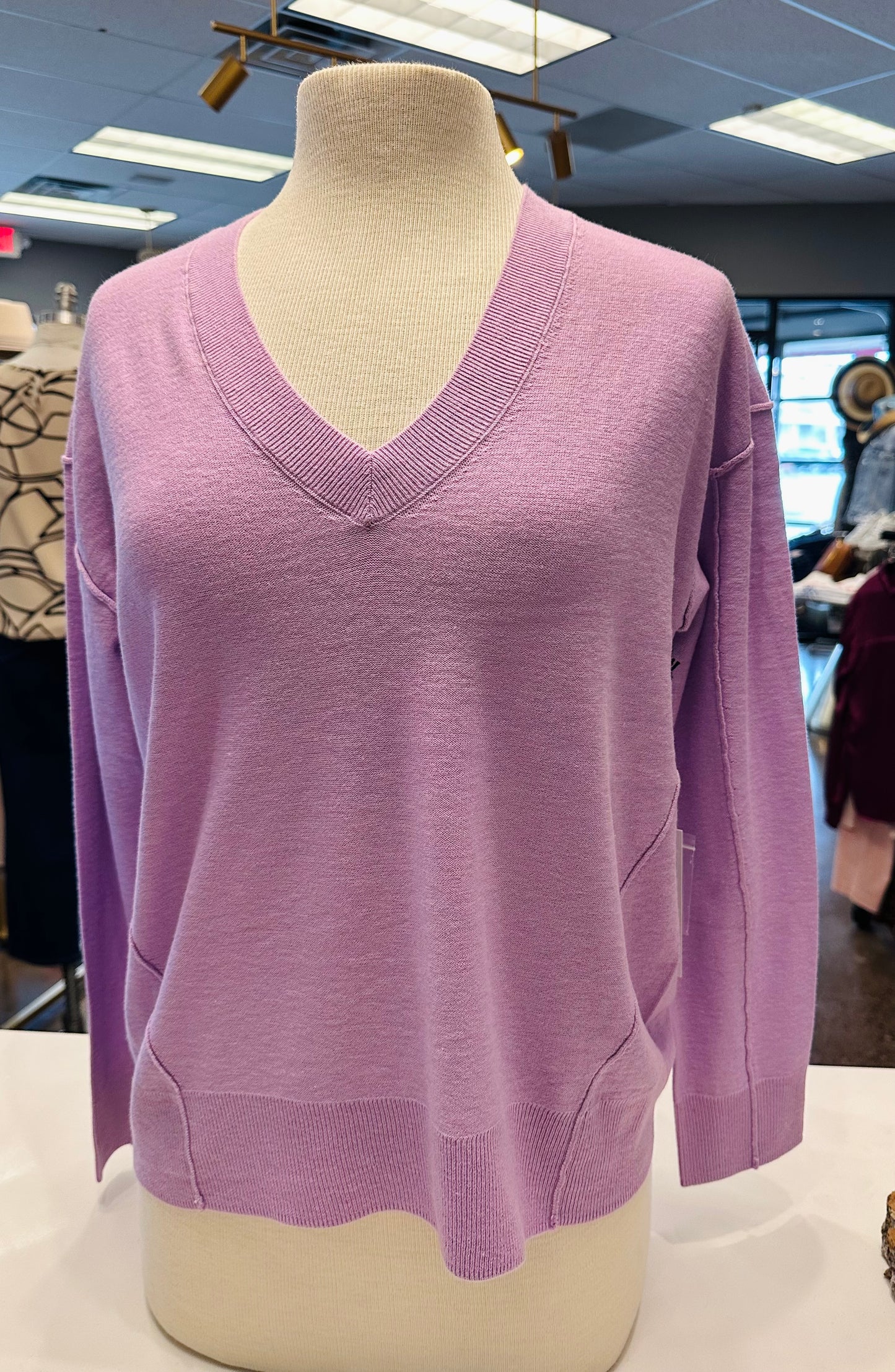 Michael Stars Halsey V-Neck Pullover