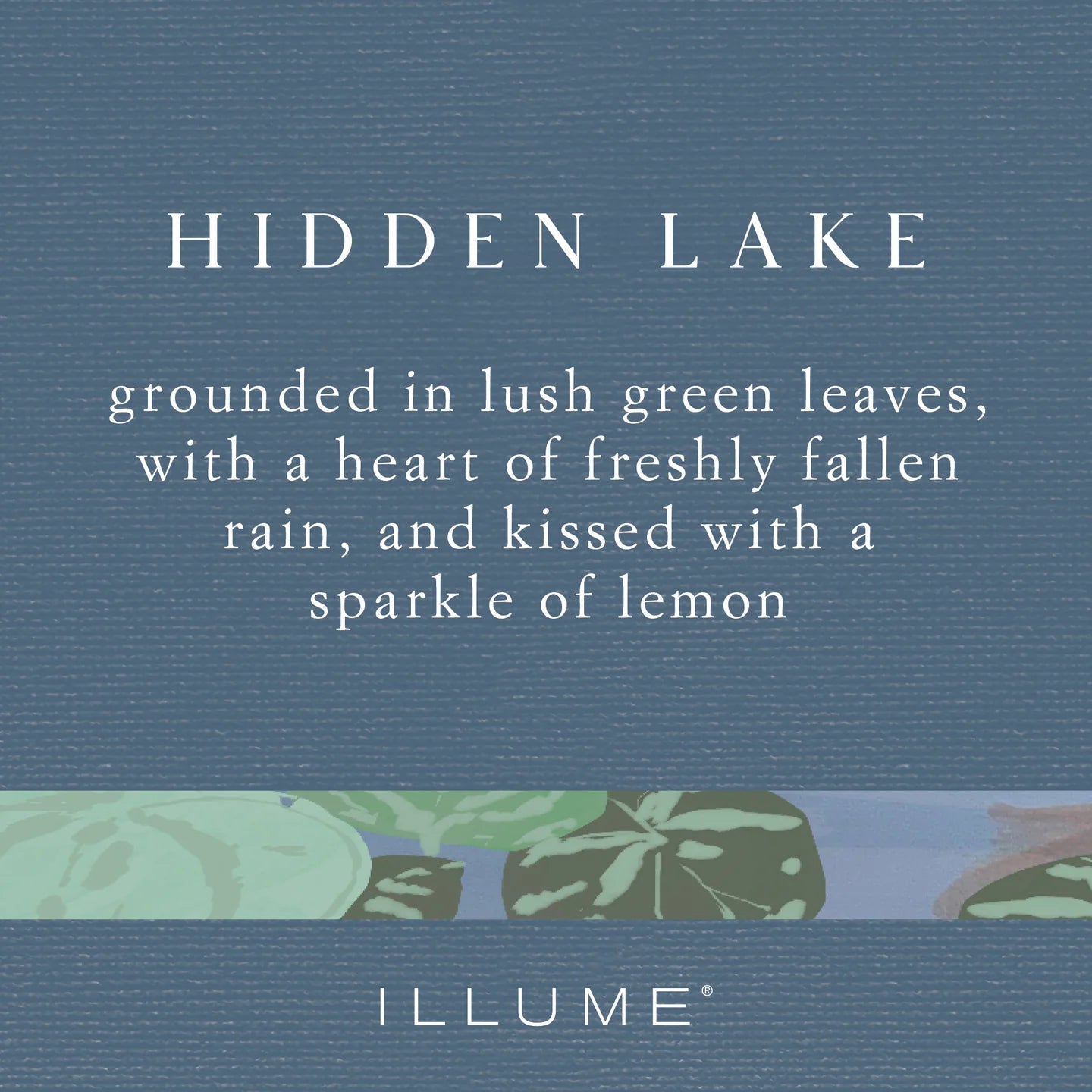 Illume Boxed Glass Candle