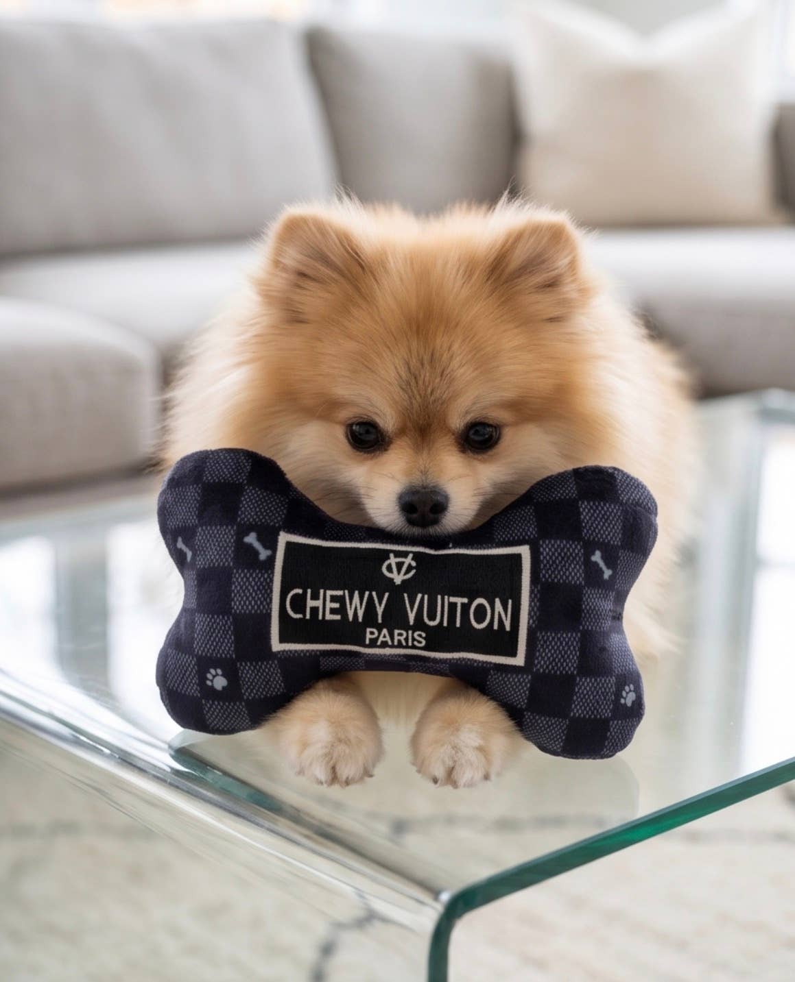 Black Checker Chewy Vuiton Bone Squeaker Dog Toy: Small