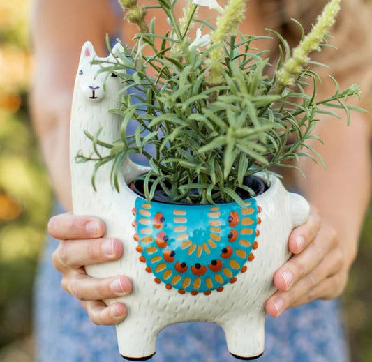 Natural Life Llama Planter